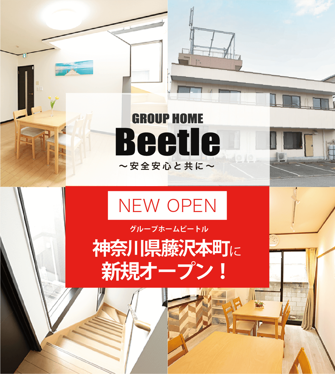 GROUPHOME Beetle